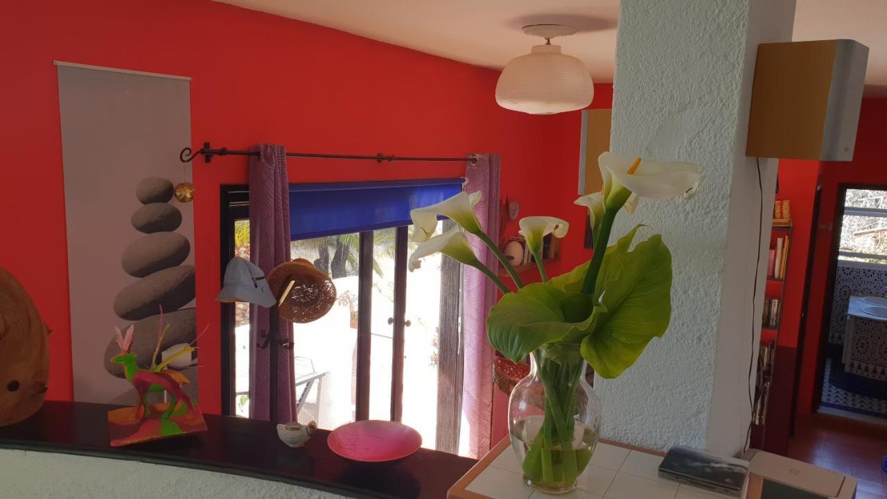 Casa Flores 洛斯·亚诺斯·德·阿里丹 外观 照片