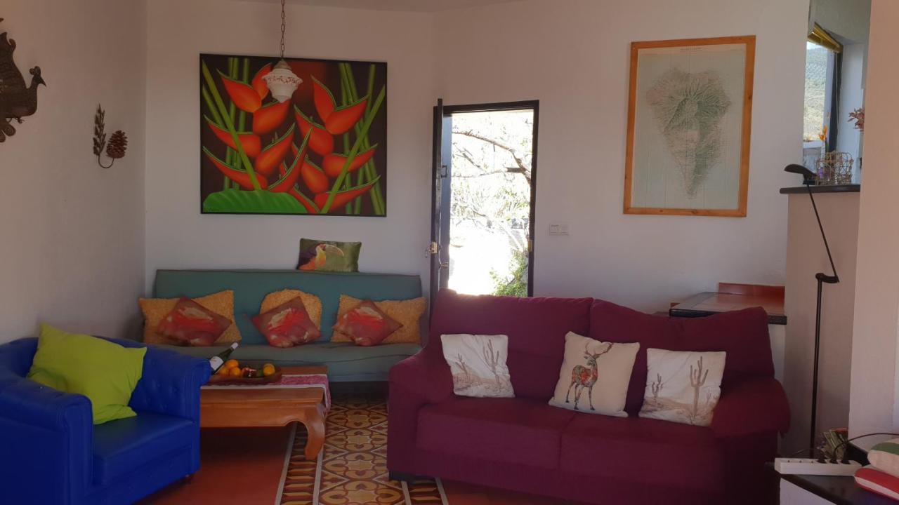 Casa Flores 洛斯·亚诺斯·德·阿里丹 外观 照片